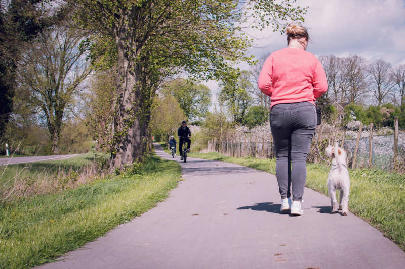 alltagstraining-hunde-bad-oldesloe