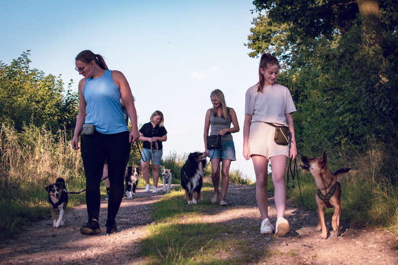 hunde-krimiwanderung-hundeschule