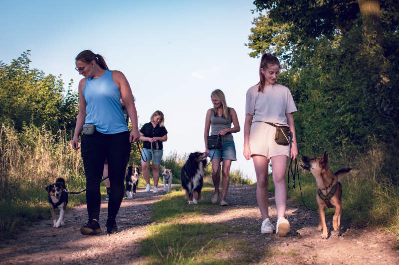 hundeschule-social-walk-bad-oldesloe